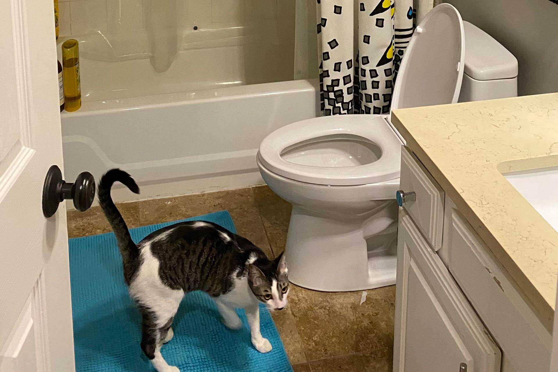 bathroom before